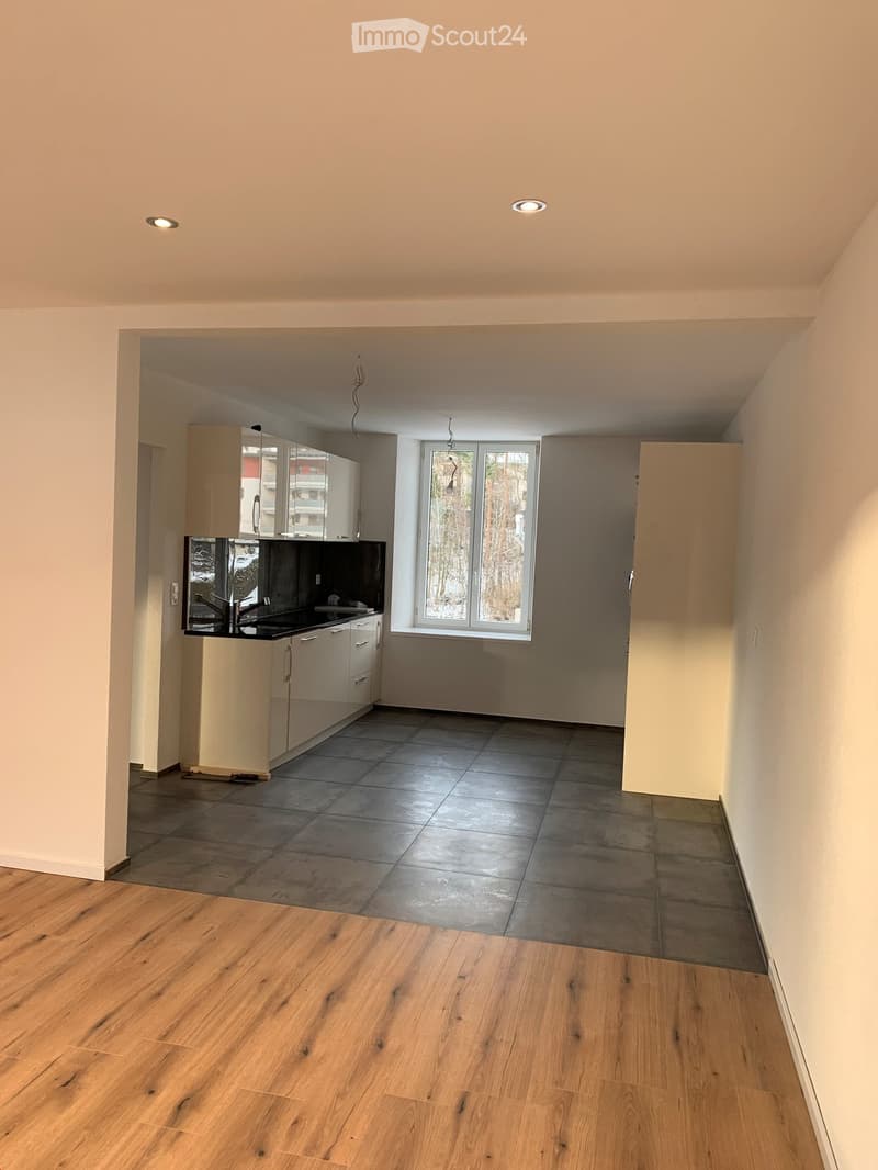 Magnifique appartement fraîchement rénové ! (3)