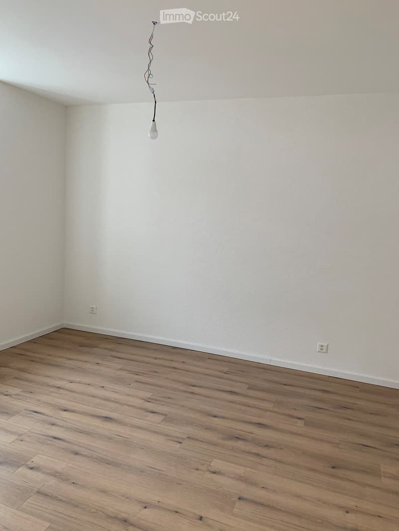 Magnifique appartement fraîchement rénové ! (8)