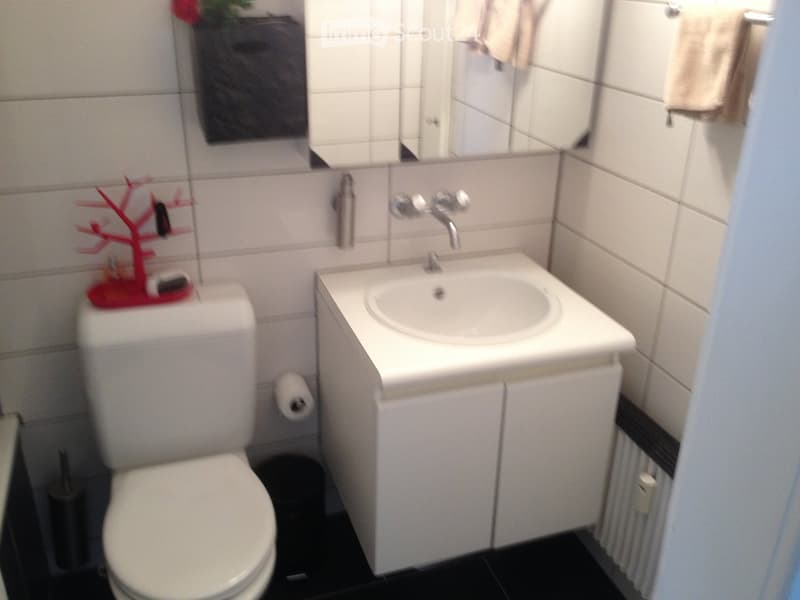 Modern bathroom with white tiles, a toilet, a sink with a faucet, a mirror, and a red decorative tree on the toilet tank.