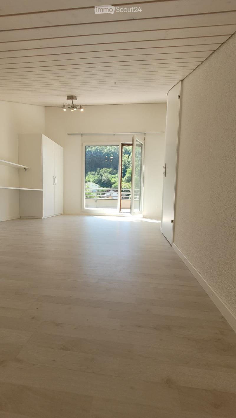 Empty room with wooden flooring, white walls, and a large sliding glass door leading to an outdoor area. A built-in cabinet is visible on the left side.