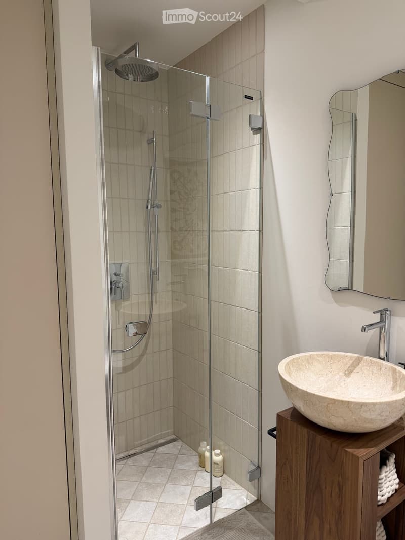 Modern bathroom with a glass-enclosed shower, a stone sink, and a wooden cabinet holding towels.