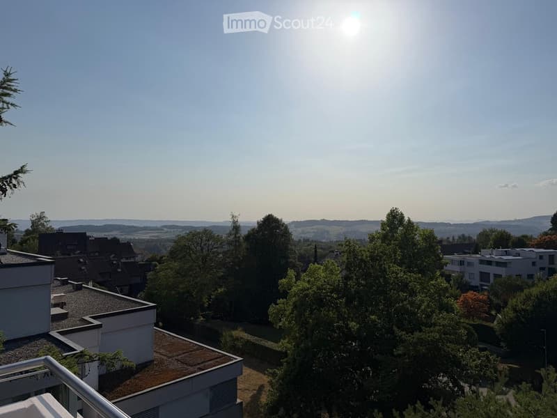 View from a balcony showing rooftops, trees, and distant hills under a clear sky.