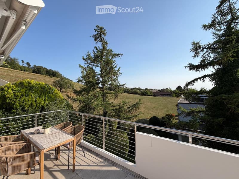 Balcony with a wooden table, chairs, and a small plant, overlooking a green field and trees.