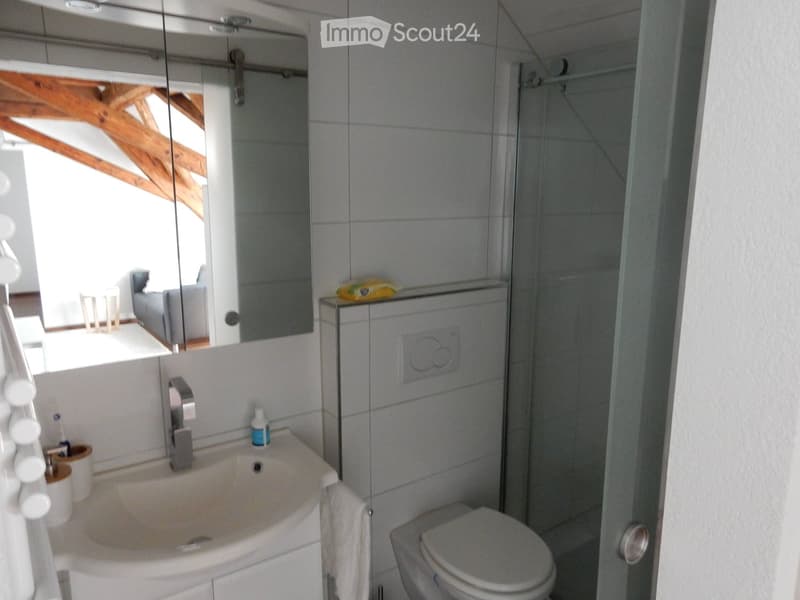 Modern bathroom with a sink, toilet, shower, and a large mirror reflecting part of the living area.