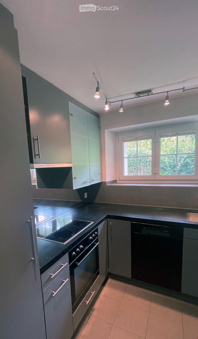 Modern kitchen with grey cabinets, black countertops, built-in stove, oven, and dishwasher. Track lighting above the counter.
