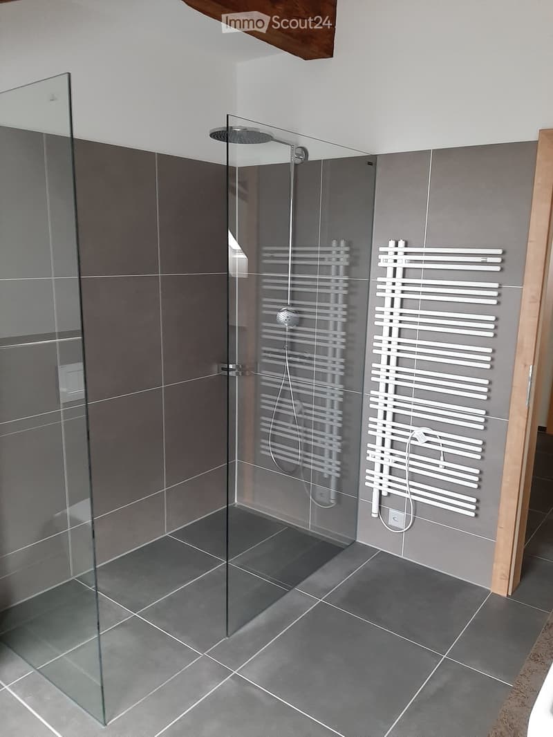 Modern bathroom with grey tiles, glass shower enclosure, and white radiator.