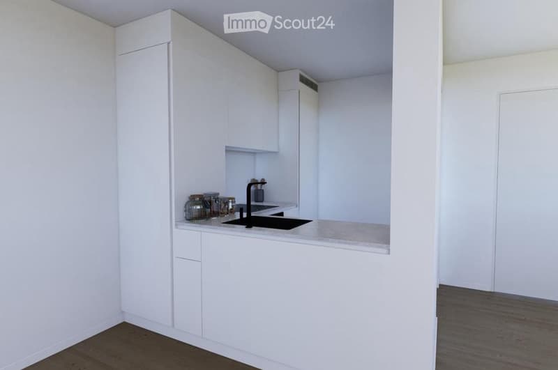 Modern kitchen with white cabinets, a black sink, and a countertop with decorative jars.