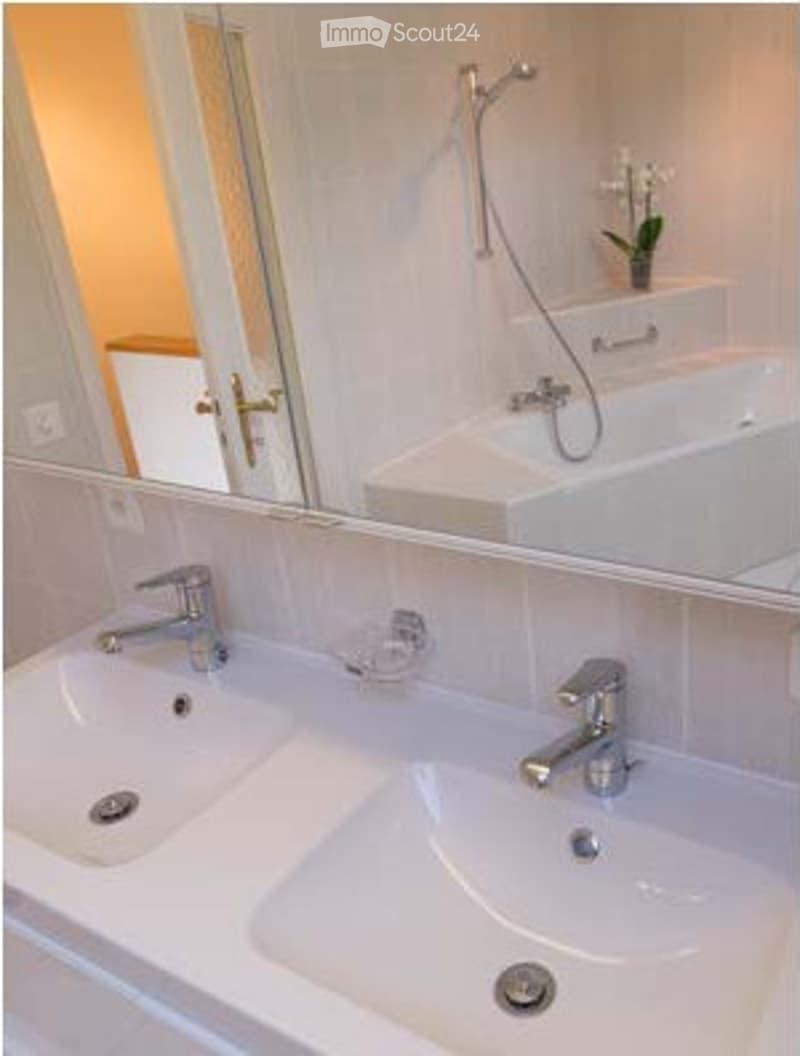Modern bathroom with double sinks, chrome faucets, a bathtub, and a small decorative plant on the edge of the tub.