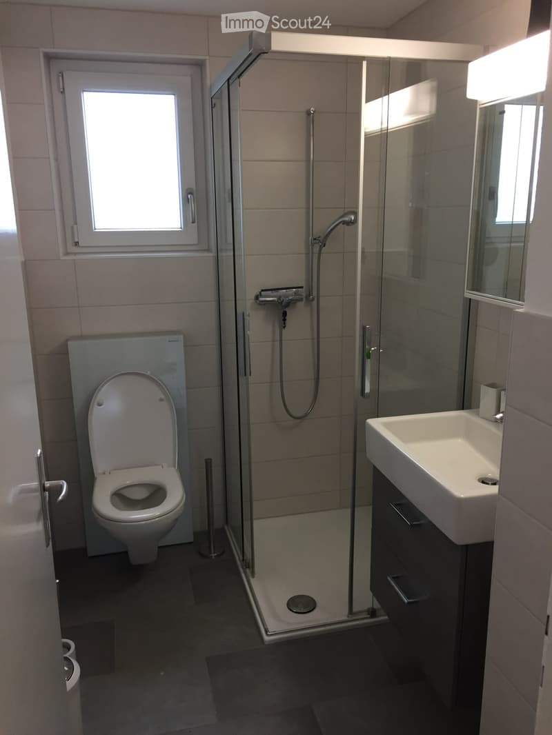 Modern bathroom with a toilet, sink, and glass-enclosed shower. Features a window for natural light and a built-in cabinet under the sink.