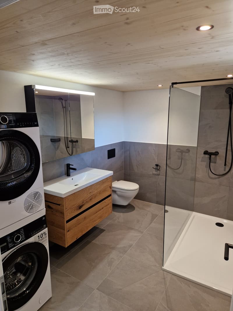 Modern bathroom with a wooden vanity, sink, toilet, bathtub, and washing machine. Features include a glass shower enclosure, wooden ceiling, and tiled floor.