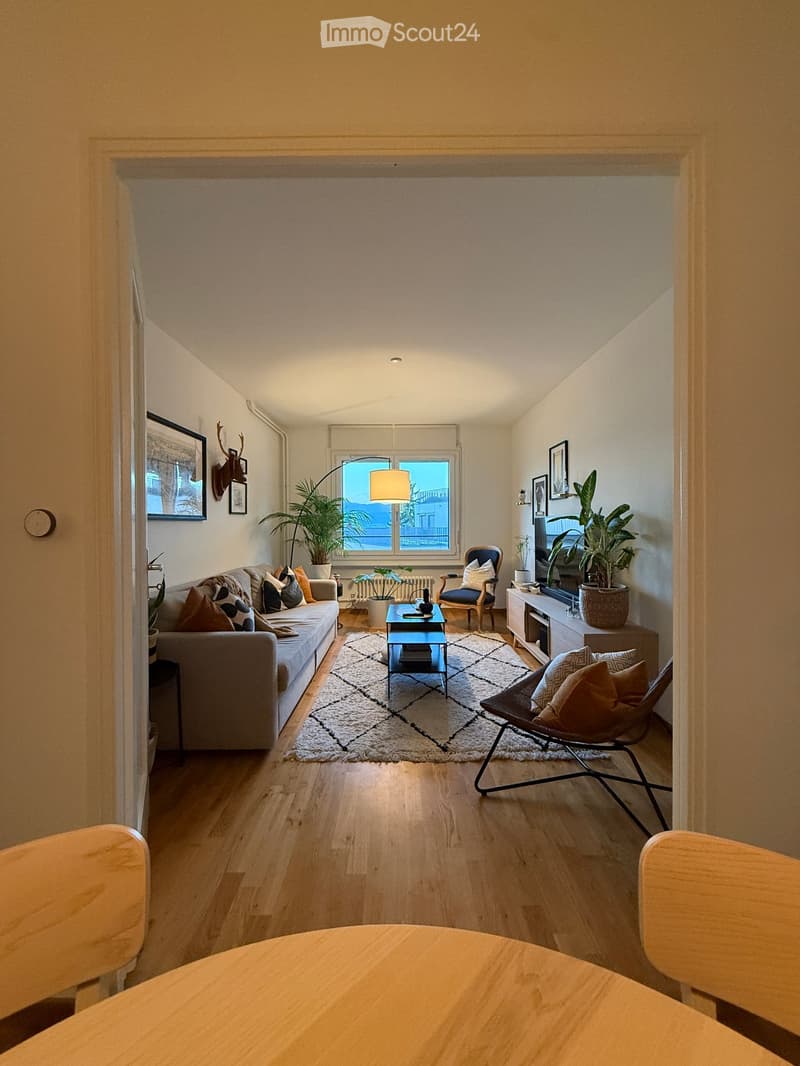Modern living room with wooden flooring, large window, sofa, coffee table, chairs, potted plants, and television.