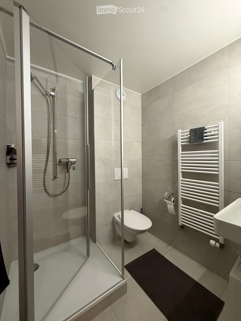 Modern bathroom with a glass-enclosed shower, toilet, sink, radiator, and a black bath mat on the floor.