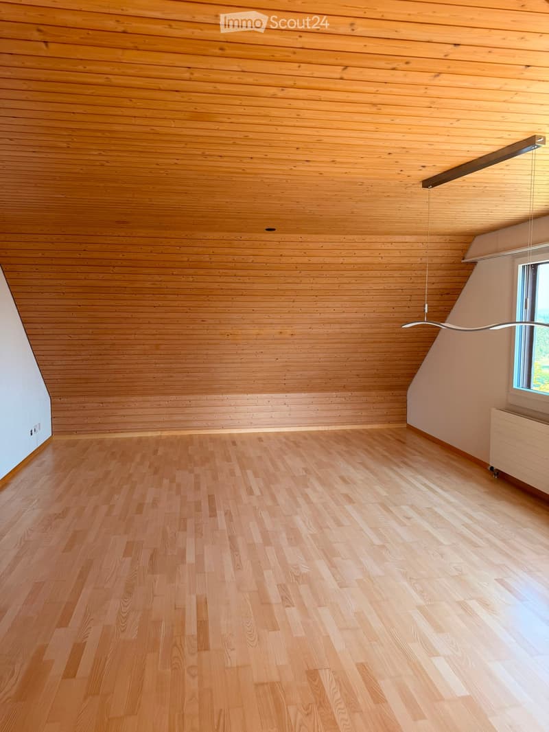 Empty room with wooden walls, wooden floor, and a modern pendant light fixture. The room has large windows allowing natural light to enter.