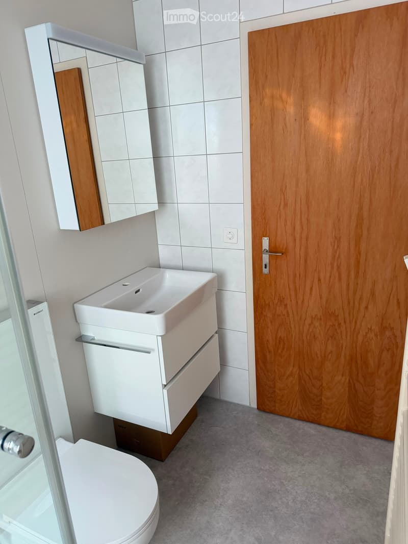 Modern bathroom with white tiles, a white sink with a mirrored cabinet, a toilet, and a wooden door.