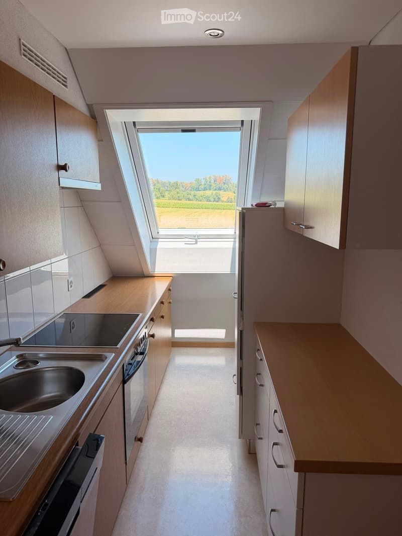 Modern kitchen with light wooden cabinets, stainless steel sink, and oven, featuring a large skylight window overlooking a field.