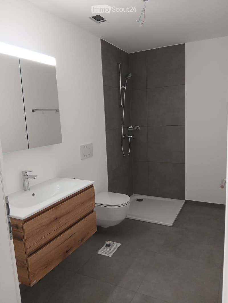 Modern bathroom with a wooden vanity, white sink, chrome faucet, large mirror, toilet, and a walk-in shower with dark grey tiles.