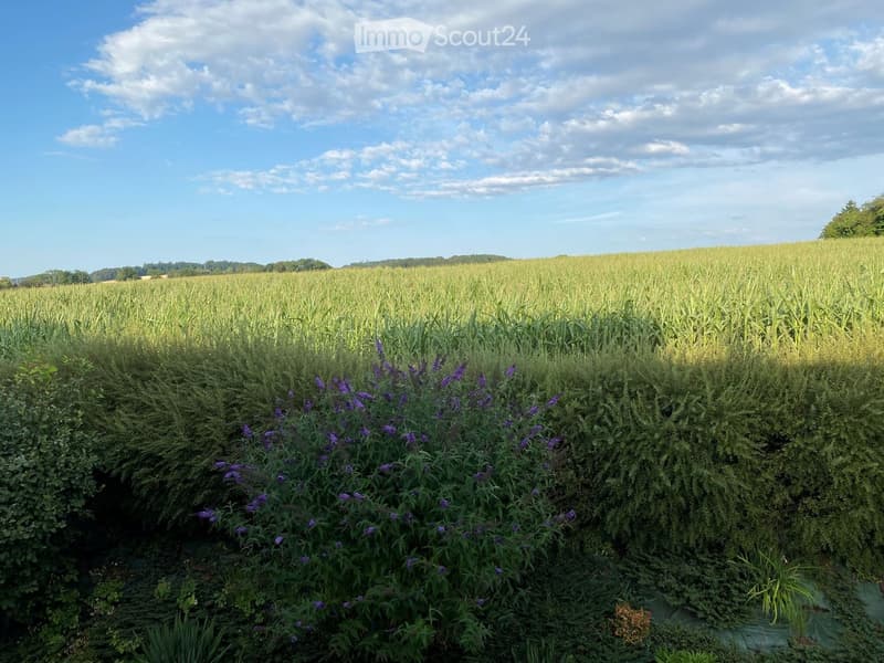 A lush garden area with tall corn plants in the background and a variety of flowering shrubs and plants in the foreground, under a partly cloudy sky.