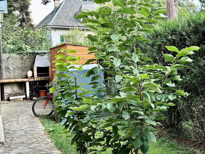 Garden area with lush greenery, a wooden shed, a barbecue, and a bicycle. The space is surrounded by trees and a house is visible in the background.