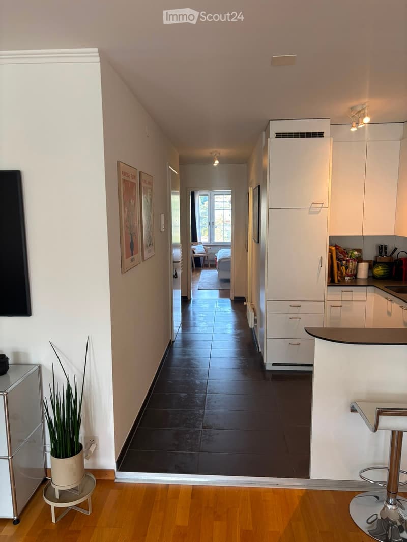 Modern hallway with wooden flooring, white walls, and a view into a kitchen and bedroom area. Features include a potted plant, framed artwork, and built-in cabinets.