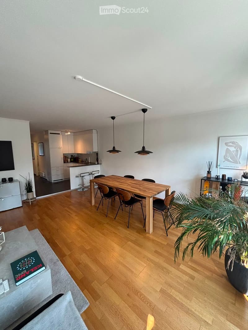 Open-plan living and dining area with wooden flooring, a dining table with chairs, a kitchen area with cabinets and a counter, and decorative plants.