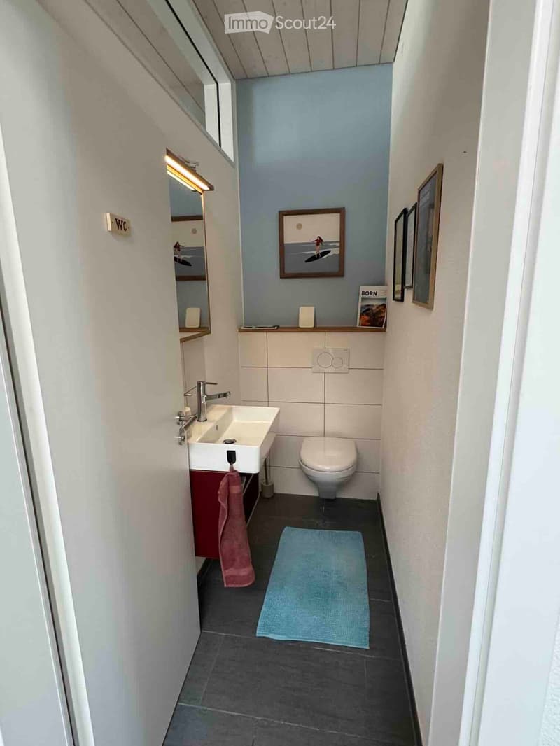 Compact bathroom with a white sink, toilet, mirror, and a small towel on a red cabinet. A blue bath mat is placed on the dark tiled floor.
