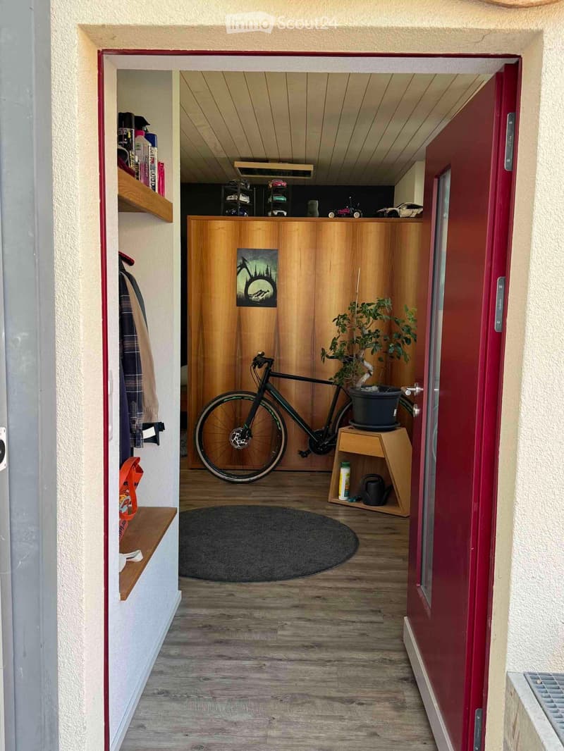 Entrance hallway with wooden floor, shelves, bicycle, potted plant, and a round rug.