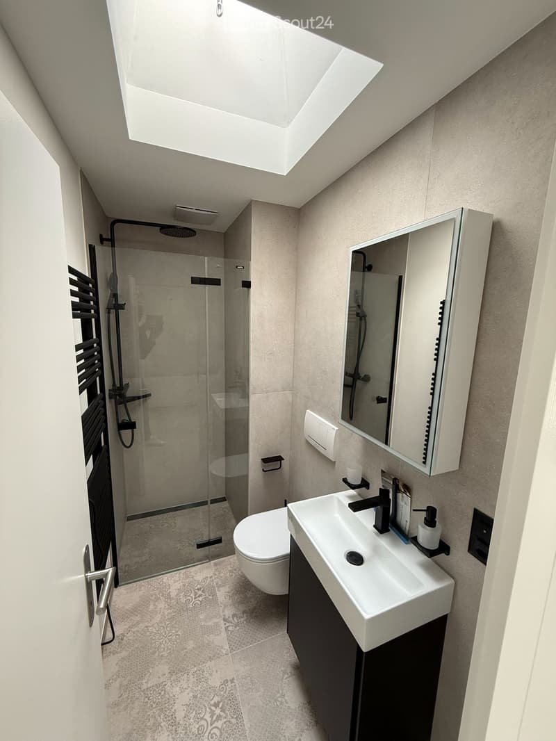Modern bathroom with a white sink, toilet, glass-enclosed shower, and a large mirror with built-in storage. Features a skylight window and sleek black fixtures.