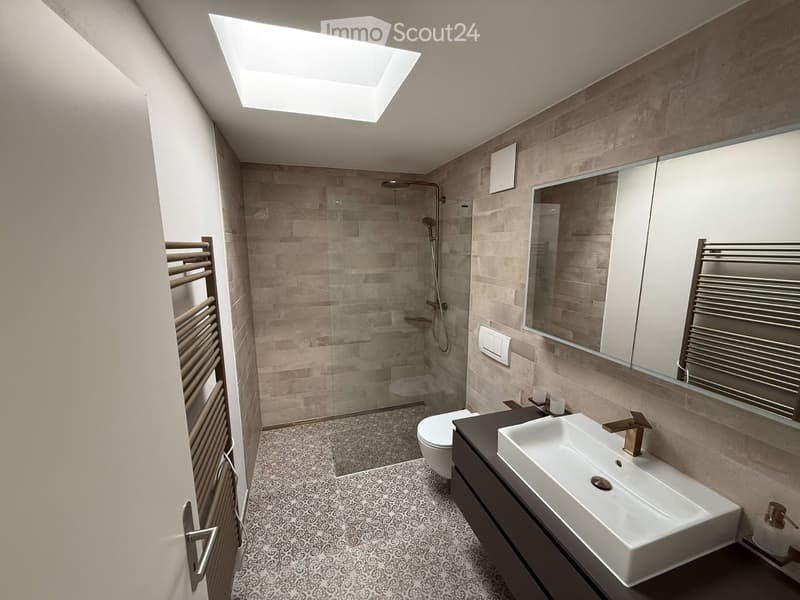 Modern bathroom with a large skylight, white sink, mirror cabinet, toilet, glass-enclosed shower, and decorative tiled floor.