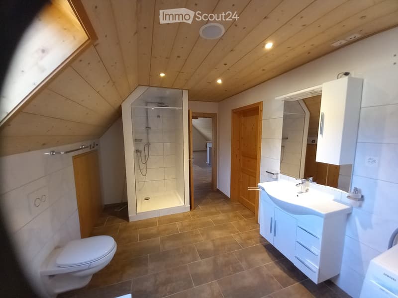 Modern bathroom with wooden ceiling and walls, featuring a toilet, sink with mirror, shower, and built-in cabinetry.