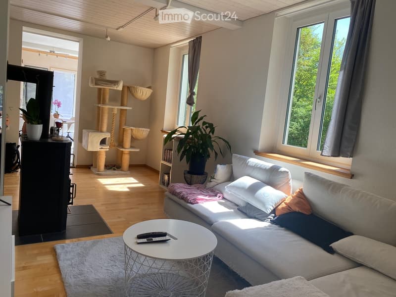 Bright living room with wooden flooring, large windows, a white sectional sofa with multiple cushions, a round white coffee table, a cat tree, and potted plants.