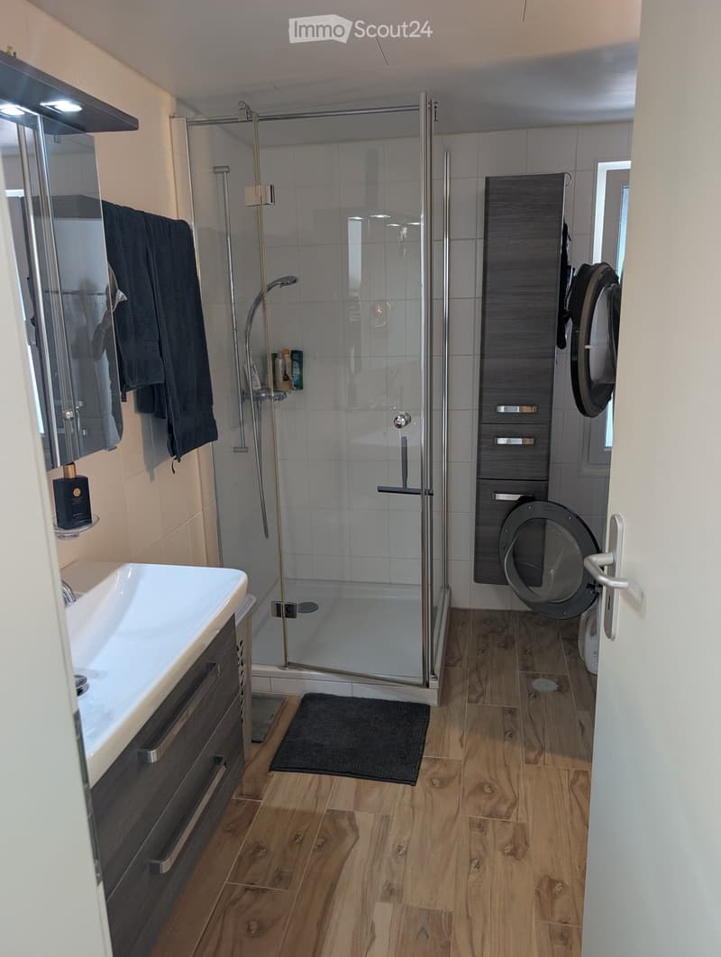 Modern bathroom with wooden flooring, a glass-enclosed shower, a white sink with a dark cabinet, a toilet, and a towel hanging on the wall.