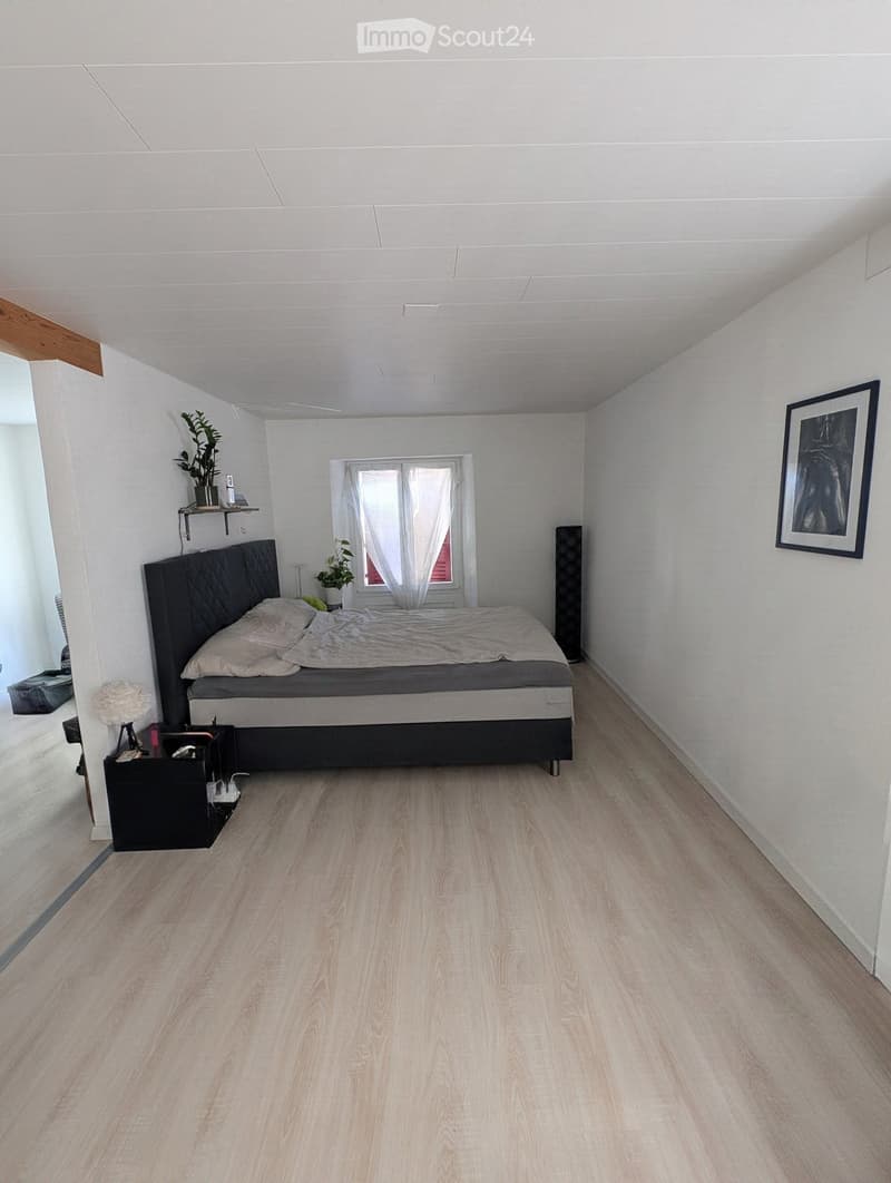 Modern bedroom with light wooden flooring, a large bed with a dark headboard, a nightstand with a lamp, a small shelf with a plant, and a framed picture on the wall.