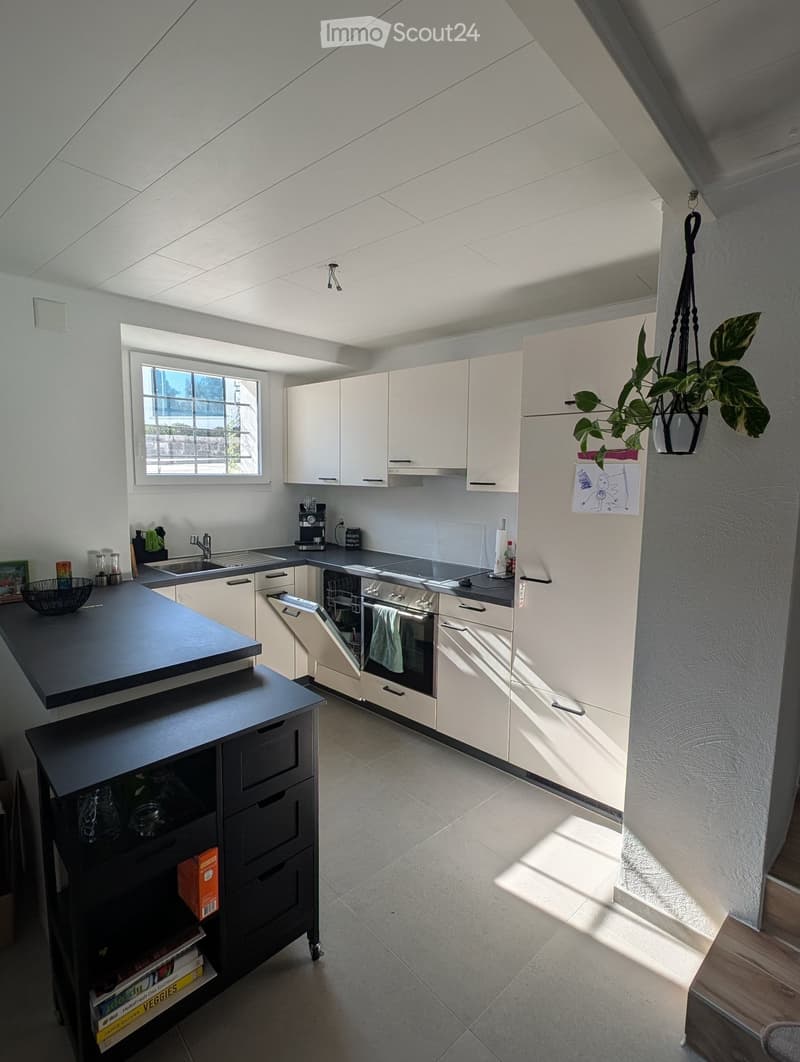 Modern kitchen with white cabinets, stainless steel appliances, and a black countertop. Features include a sink, coffee maker, oven, refrigerator, and a hanging plant.