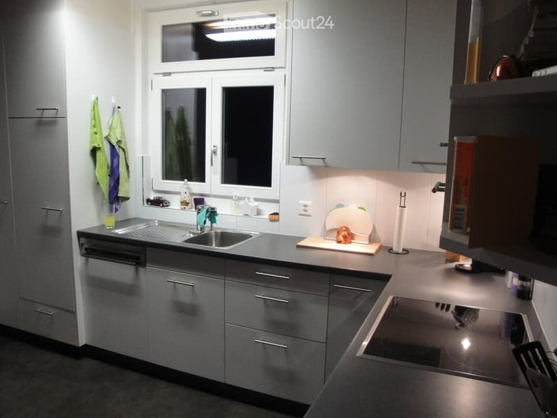 Modern kitchen with grey cabinets, stainless steel appliances, and a large window. Features a sink, microwave, dishwasher, and various kitchen items on the counter.