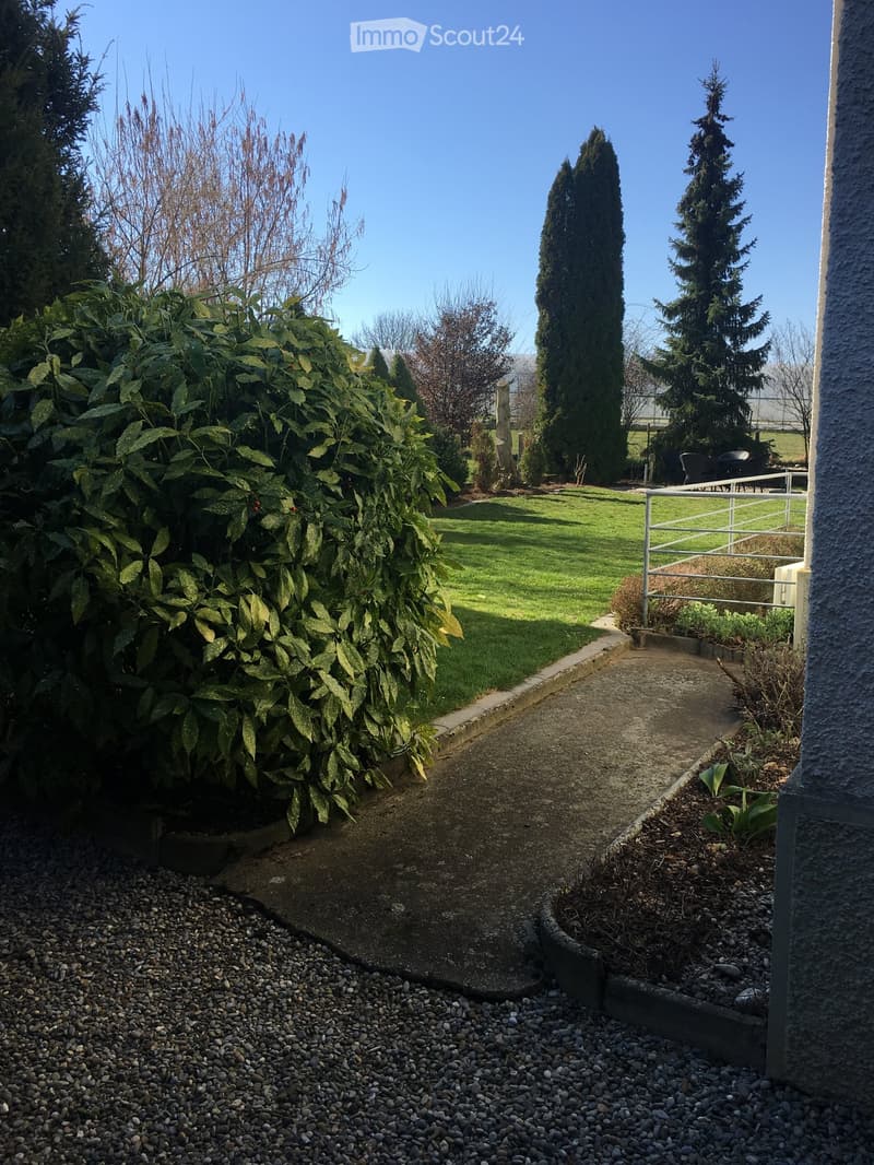 Garden area with a gravel pathway leading to a grassy lawn, surrounded by various plants and trees, with a metal railing and outdoor furniture visible in the background.