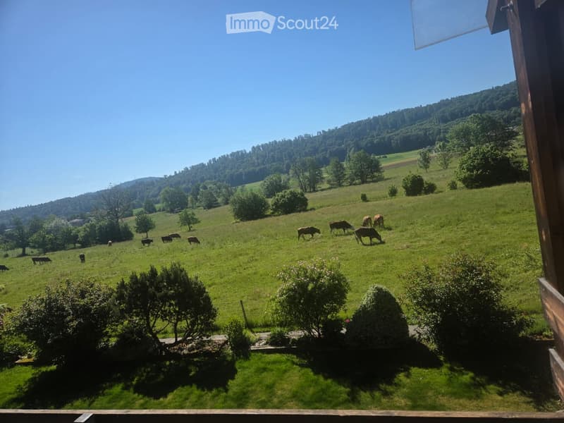 A peaceful countryside view from a balcony or terrace, showing a green meadow with grazing cows, scattered trees, and a hilly landscape under a clear blue sky.