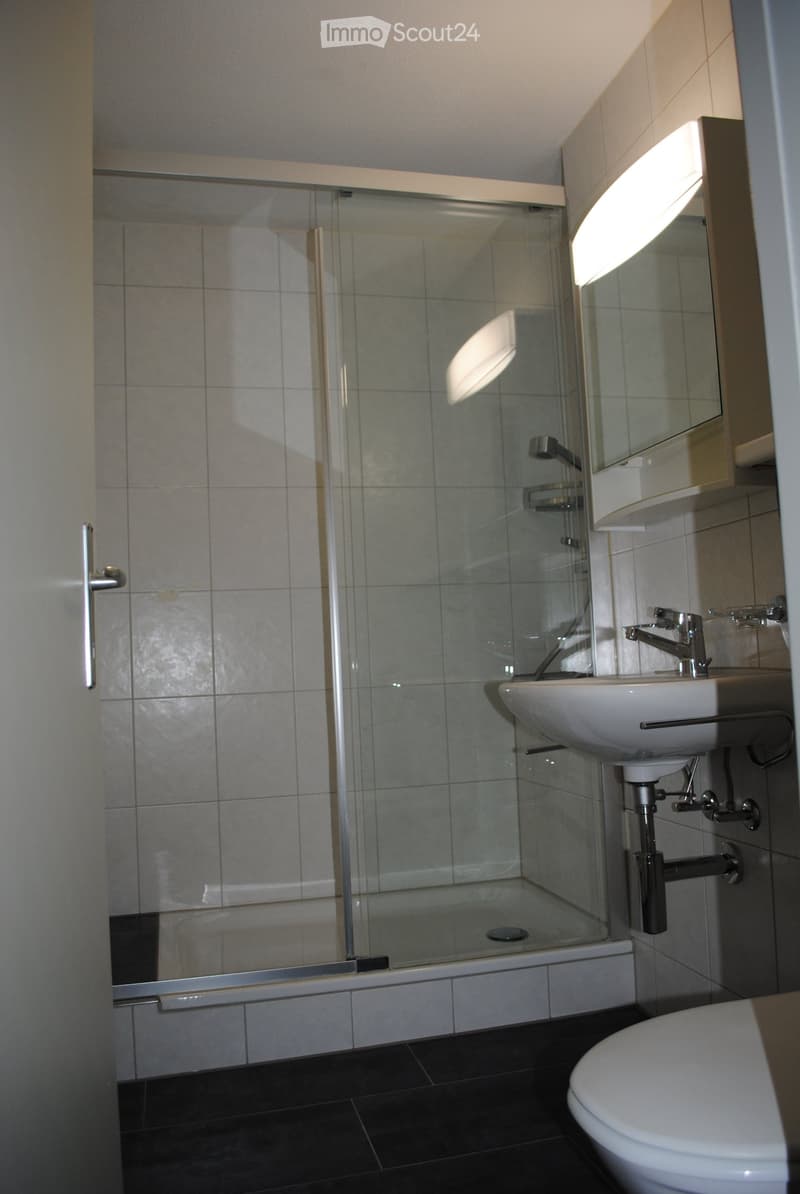 An ruhiger Lage in Münchwilen (6)
