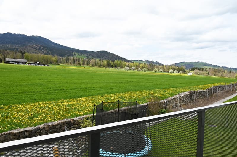 A scenic outdoor view from a balcony or terrace, showing a lush green field dotted with yellow flowers, a stone wall, and distant mountains under a partly cloudy sky.