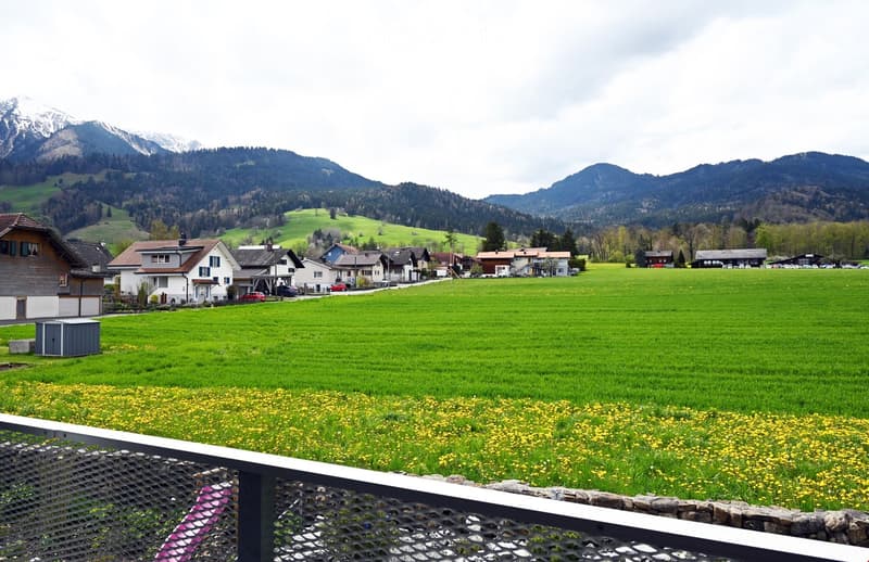 A scenic rural landscape with a green meadow, scattered houses, and snow-capped mountains in the background.