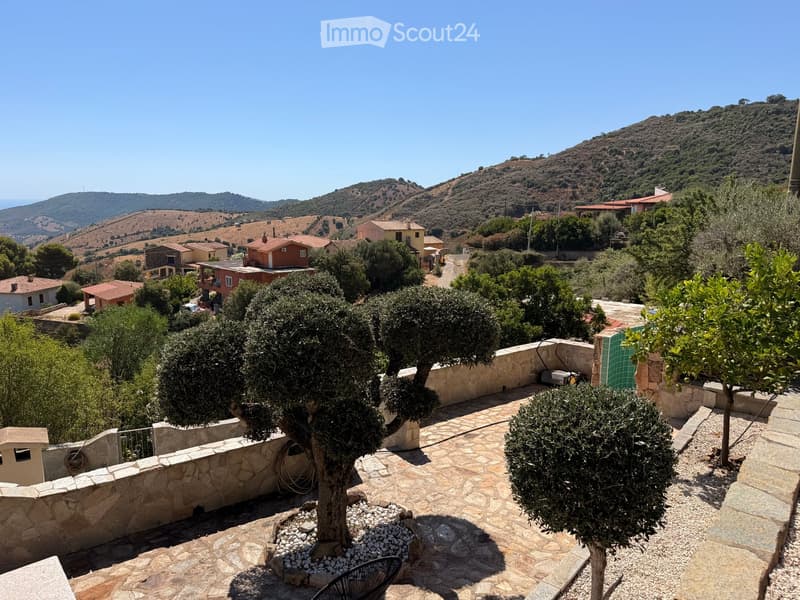 A serene outdoor garden area with stone-paved ground, olive trees, and a scenic view of rolling hills and houses in the distance.
