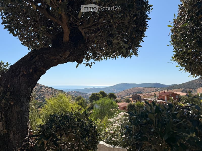 A scenic outdoor view with olive trees, rolling hills, and distant houses under a clear blue sky.
