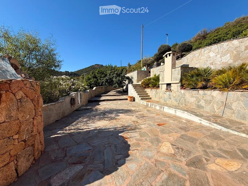 Stone-paved pathway lined with stone walls, surrounded by greenery and trees, leading up a hillside.