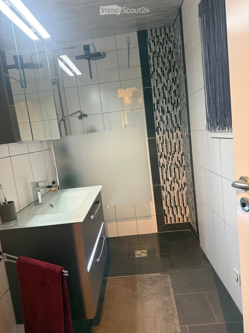 Modern bathroom with a white sink, chrome faucet, shower area with glass enclosure, and a red towel hanging on a rack.