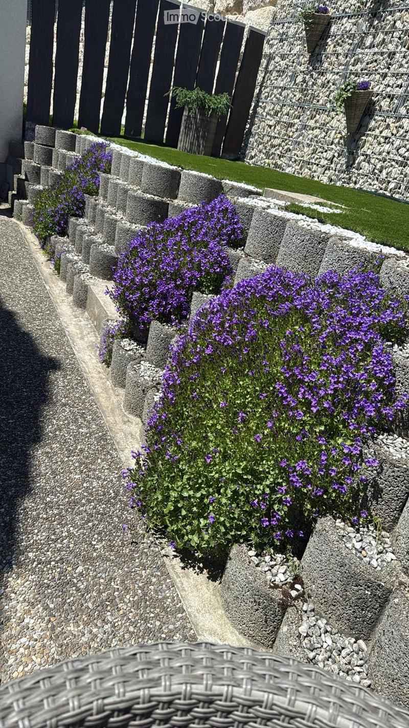 Garden area with a stone border, purple flowers, gravel ground, and a black fence in the background.