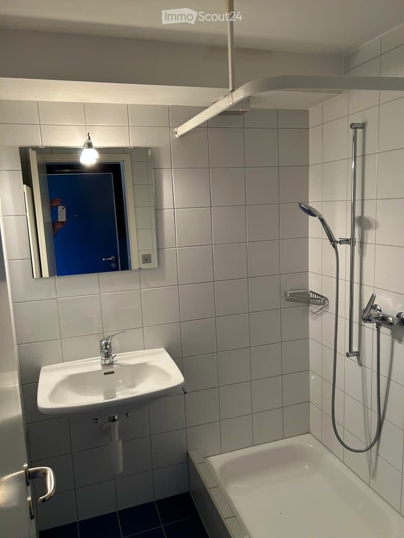 Charmante 1.5-Zimmer-Dachwohnung (3)