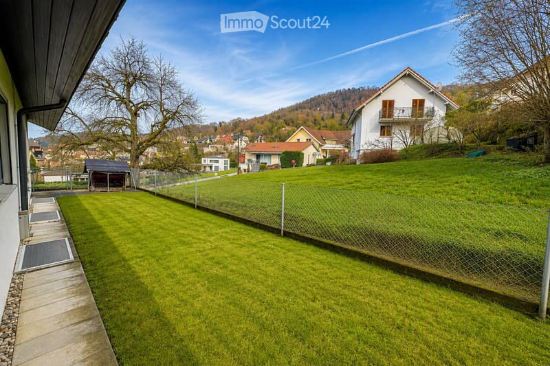 Well-maintained lawn bordered by a wire fence, with a small shed and neighboring houses visible in the background.