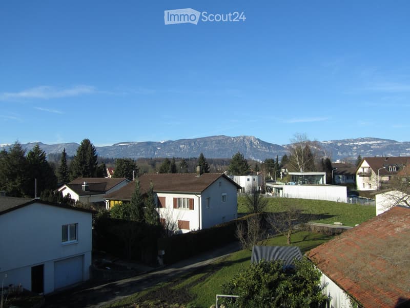 Residential neighborhood with multiple houses, surrounded by trees and mountains in the background.