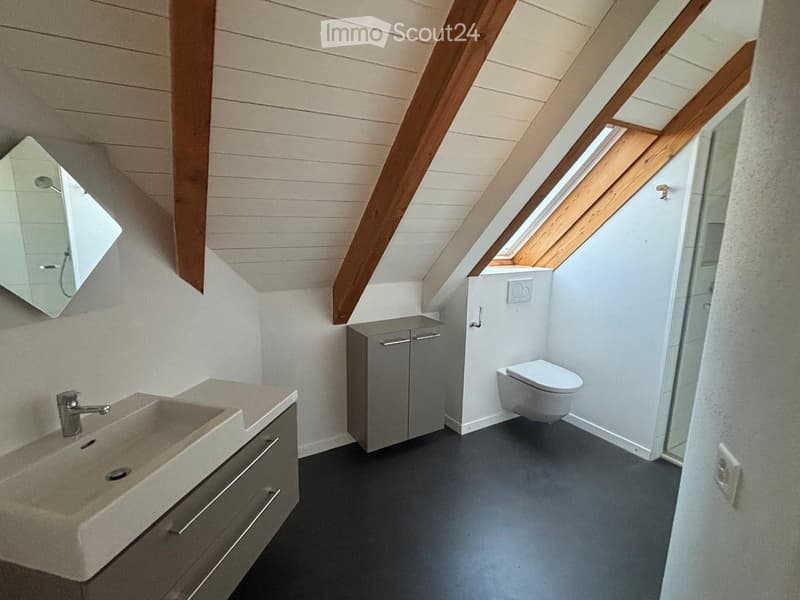 Modern bathroom with a sink, faucet, mirror, cabinet, and toilet. Features a skylight window and wooden slanted ceiling beams.