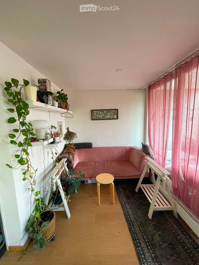 Cozy living room with a pink sofa, small wooden stool, shelves with plants and books, and a patterned rug on the floor.