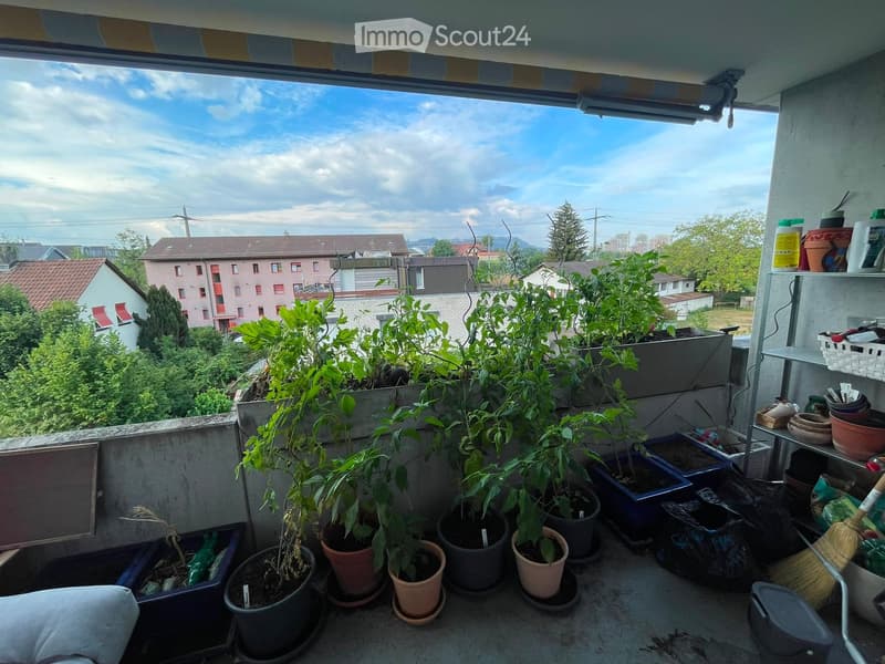 Balcony with multiple potted plants, shelves with gardening supplies, and a view of the surrounding neighborhood.